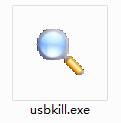USBkill截图