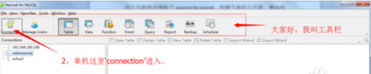 Navicat for MySQL截图