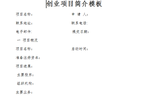 创业项目简介模板截图