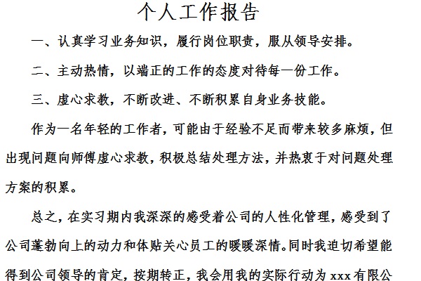 个人工作报告范文截图