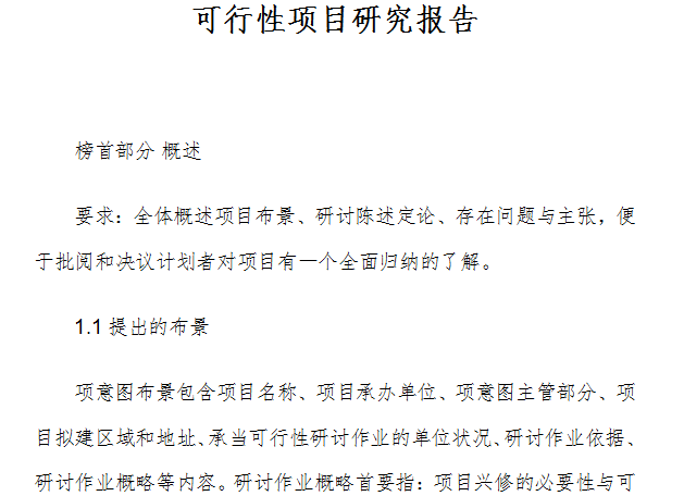 项目可行性研究报告范本截图
