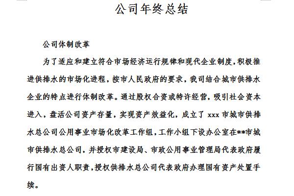 公司年度总结截图