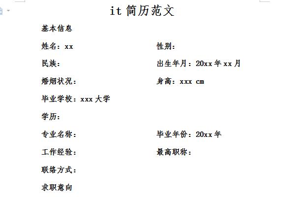 it求职简历范文截图